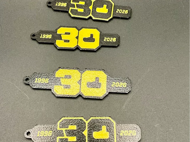 Ryobi 30th Anniversary Keychain: For the Freaks