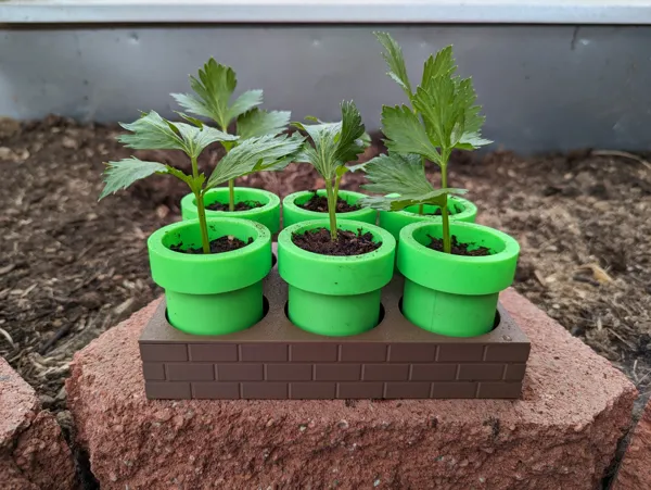 https://makerworld.bblmw.com/makerworld/model/US97a89527c8ff93/design/2024-03-26_d8f814fd24b1a.jpg