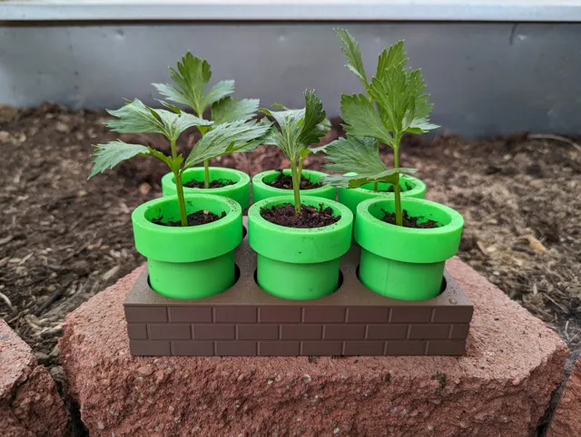 Mario Seed Starter Tray - Self Watering