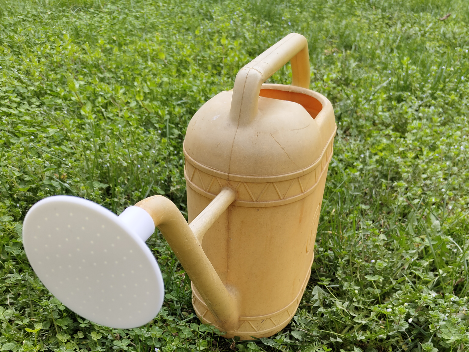 Watering can spout