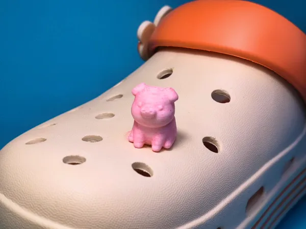 https://makerworld.bblmw.com/makerworld/model/US97aa9f97b89302/design/2025-11-10_f2453c357128e.png