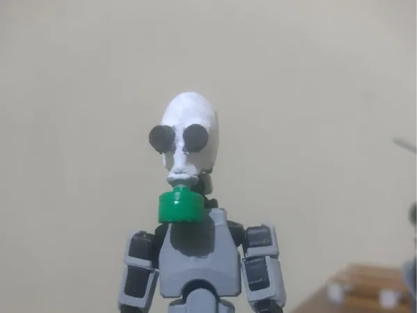 https://makerworld.bblmw.com/makerworld/model/US97b6741bf96d5b/design/2025-06-01_5410e6d5a1ad7.jpg