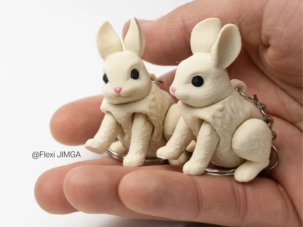 https://makerworld.bblmw.com/makerworld/model/US97b8d959ca318e/design/2026-01-12_a934808f8b14f8.jpg
