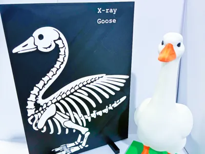 X-Ray Desk Goose Gear