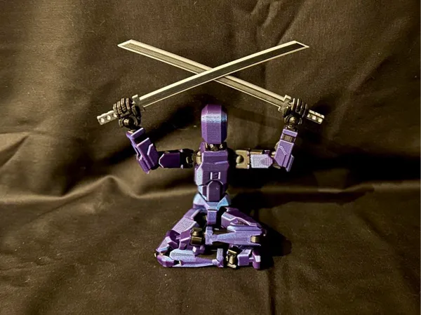 https://makerworld.bblmw.com/makerworld/model/US97bad1de484e53/design/2025-01-09_347e7e4f1f377.jpg