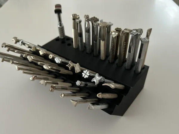 https://makerworld.bblmw.com/makerworld/model/US97bfbb86ef3709/design/2025-02-06_43fe1ae66201b.jpg