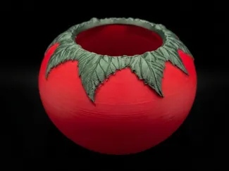 Tomato plant pot
