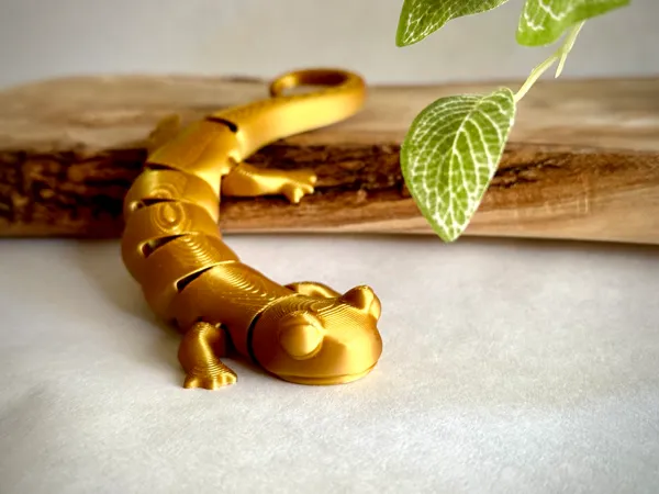 https://makerworld.bblmw.com/makerworld/model/US97c4d40de73713/design/2024-12-13_e287f20e2a8918.jpg