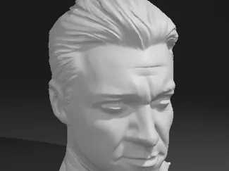Jeremy Renner Head