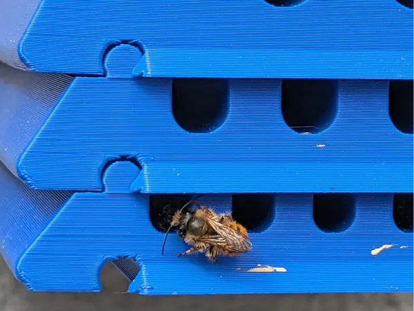 https://makerworld.bblmw.com/makerworld/model/US97c8cb1f6e75a9/design/a1a9cbacd2a7693d.jpg