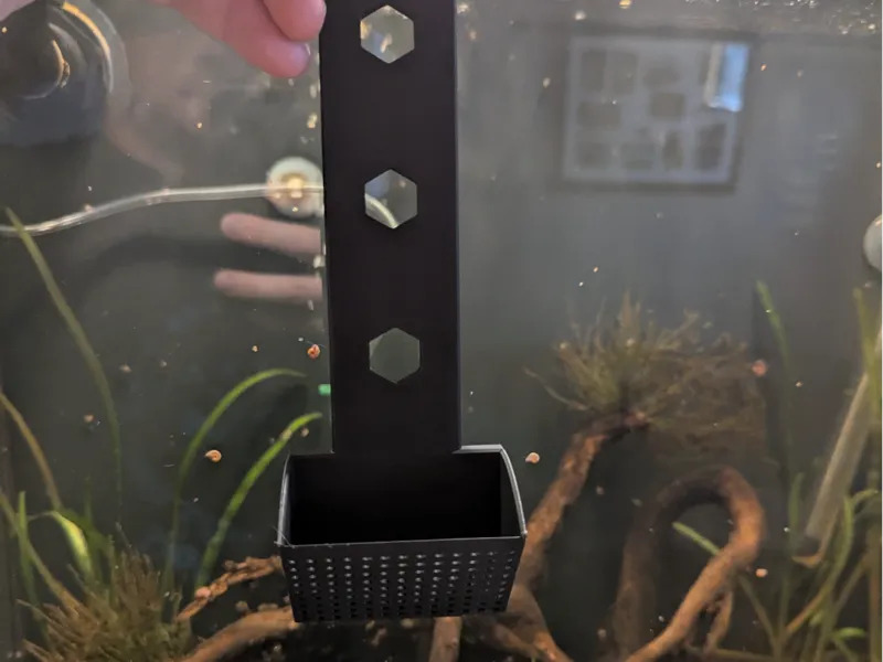 Aquarium snail scrapper