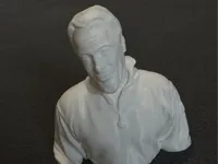 0.08mm layer, 2 walls, 8% infill