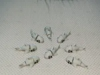 鲨鱼1款5cm