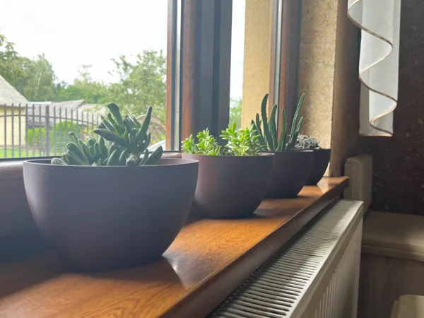https://makerworld.bblmw.com/makerworld/model/US97d07630a75e5f/design/2025-09-07_6091258a0c85f.jpg