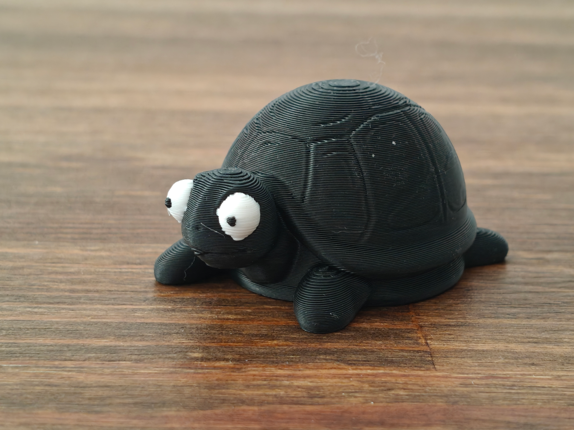 Funny Funny Googly Eye Turtle Mini