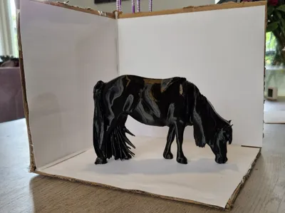 Pony Lissie, from photo
