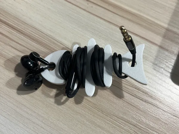 https://makerworld.bblmw.com/makerworld/model/US97da9aac552697/design/2024-10-16_c4f302d5f36d8.jpg
