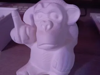 Monkey is flipping the bird