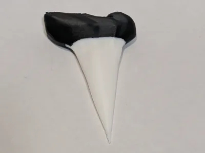 Simple Shark Tooth