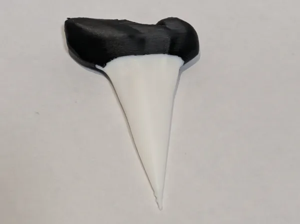 https://makerworld.bblmw.com/makerworld/model/US97e6f83270fd0/design/2025-02-17_27b012d0191a4.jpg