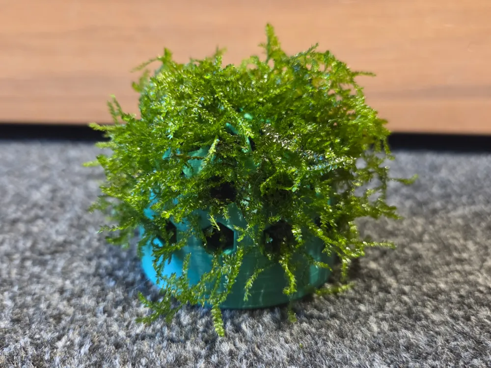 Blocs De Mousse Florale | Blocs D'éponge En Mousse De Fleur à Ventouse En Forme De Cœur, Fournitures De Conception Florale, éponge Pour Compositions Florales, Décorations De Fête De Mariage En Polysty