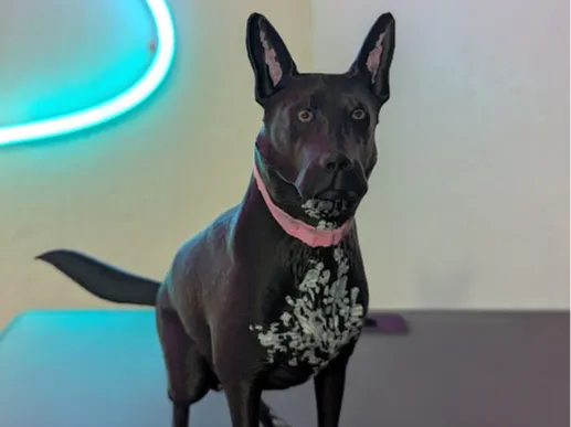 Shepherd dog figurine
