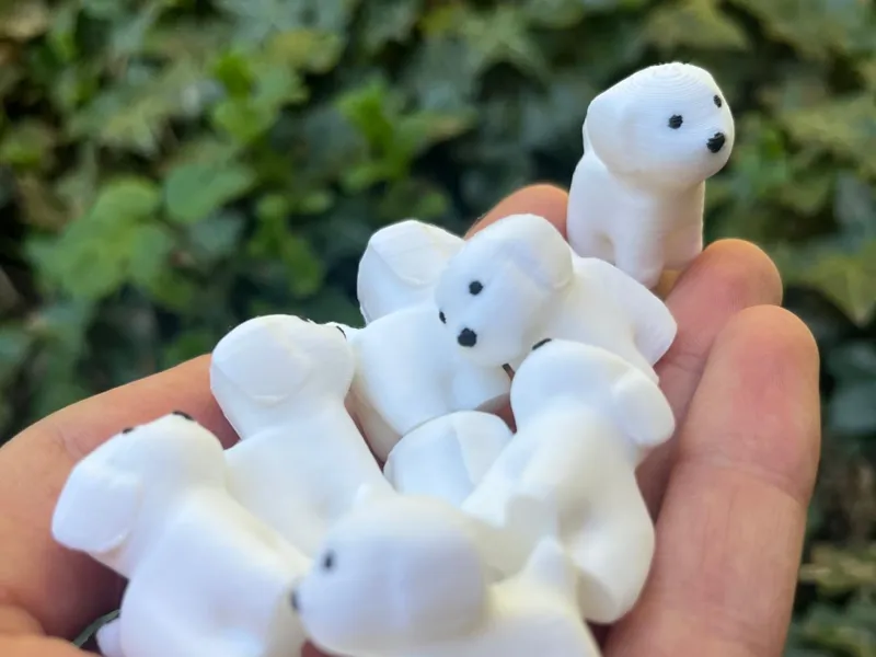 Cute Tiny dogss