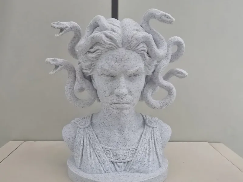 MEDUSA