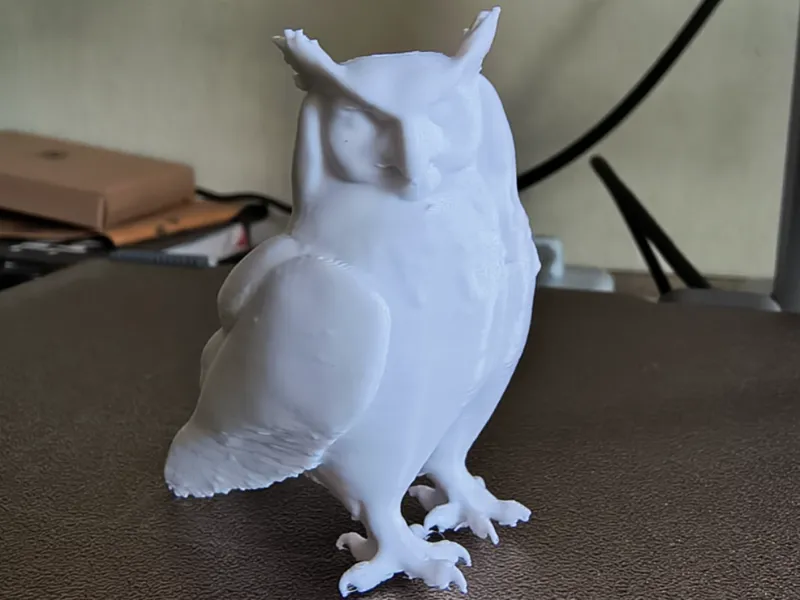 Wise Owl