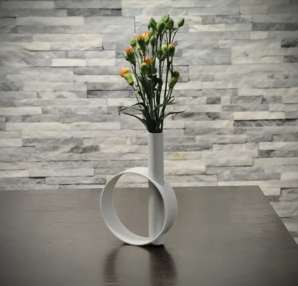 https://makerworld.bblmw.com/makerworld/model/US97fa20f667590/design/2024-02-08_a6b71274253aa.jpg