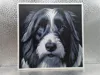 Bearded Collie_170x170_A1 Mini