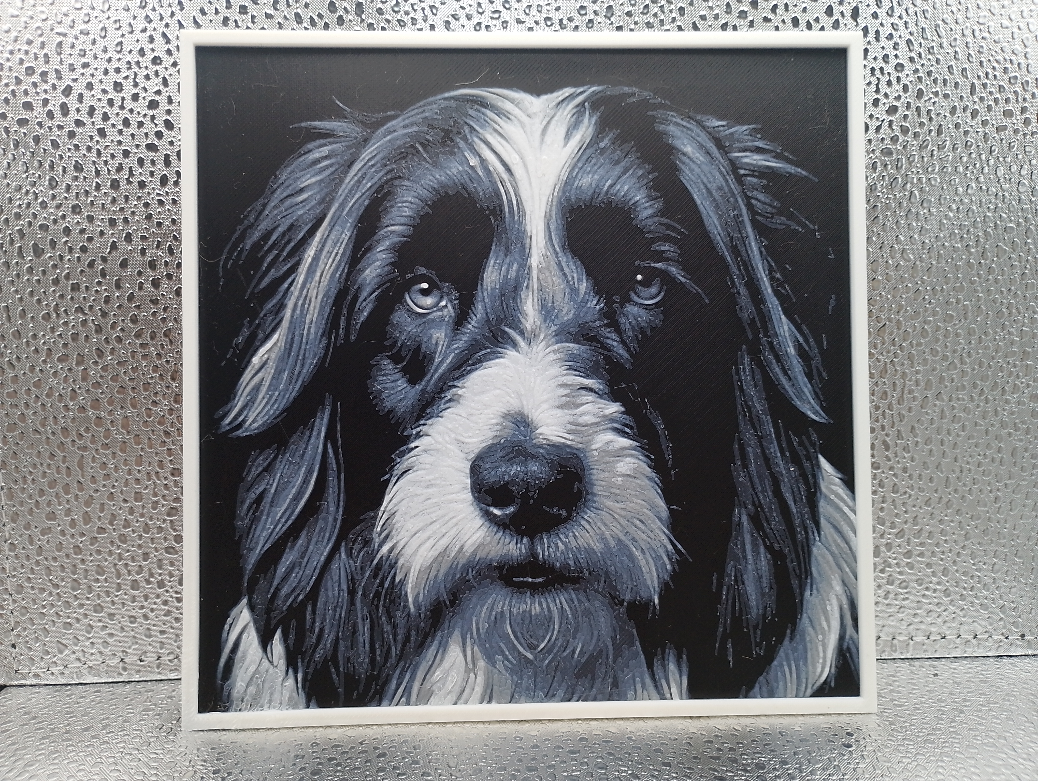 Miniatura 4 do modelo 3D Bearded Collie - Hueforge