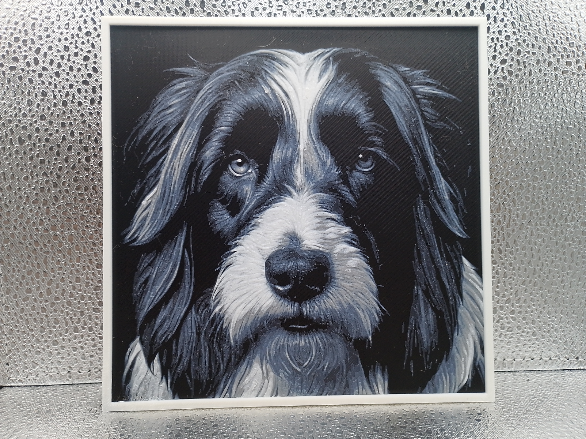 Bearded Collie - Hueforge