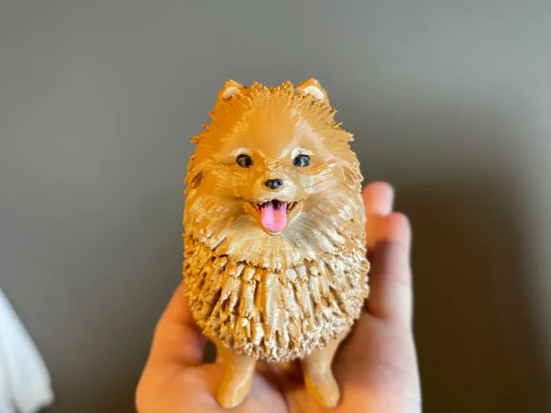 Cute Dog