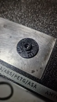 PETG 0.2mm layer, 2 walls, 15% infill