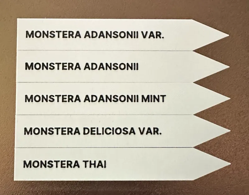 Monstera Set: Custom Plant Labels