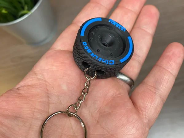 https://makerworld.bblmw.com/makerworld/model/US98045b32402c9e/design/2025-02-28_4e774ed1bd026.jpeg