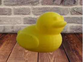 Duck.