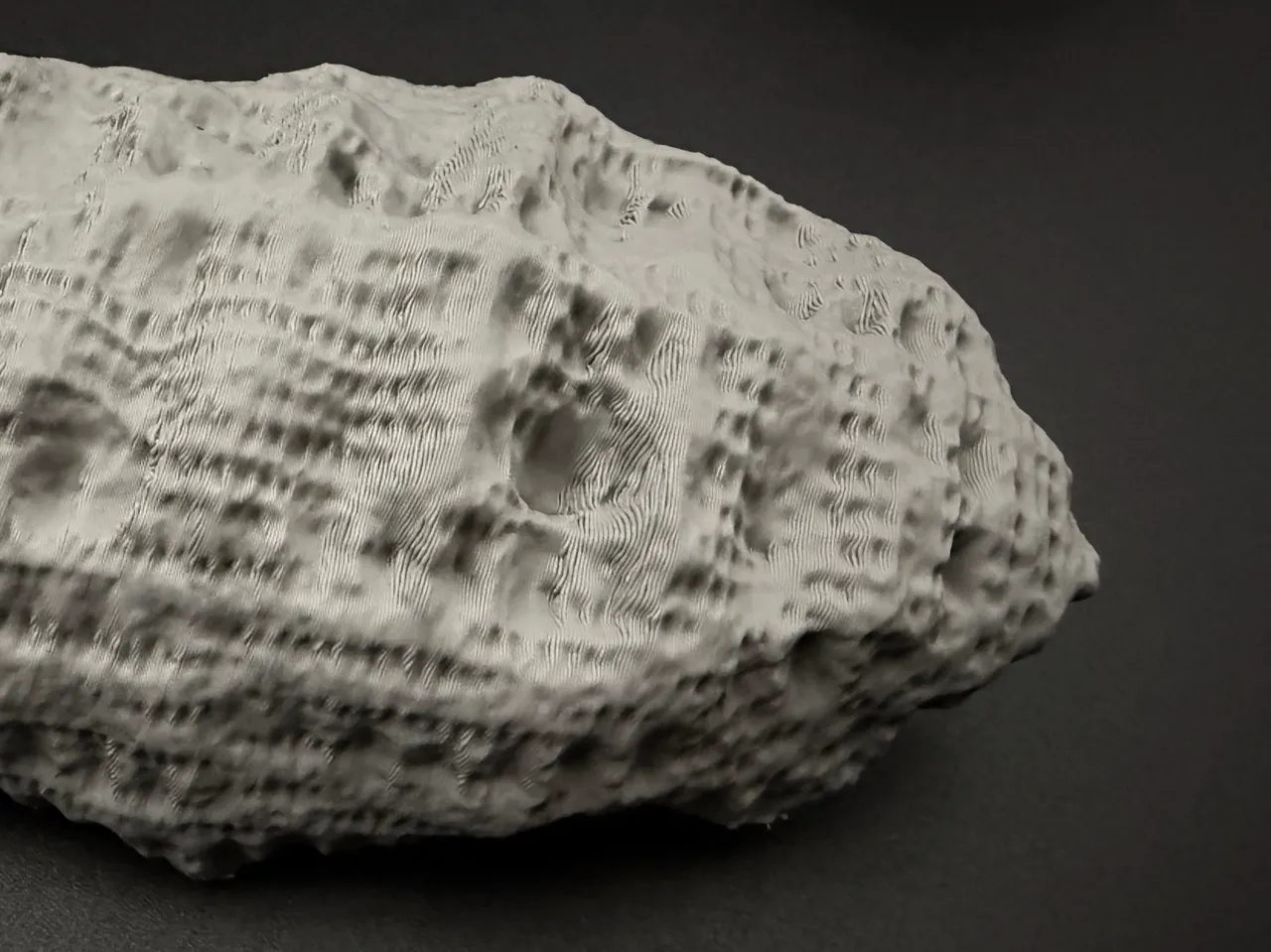 Fossil Excavation view 4