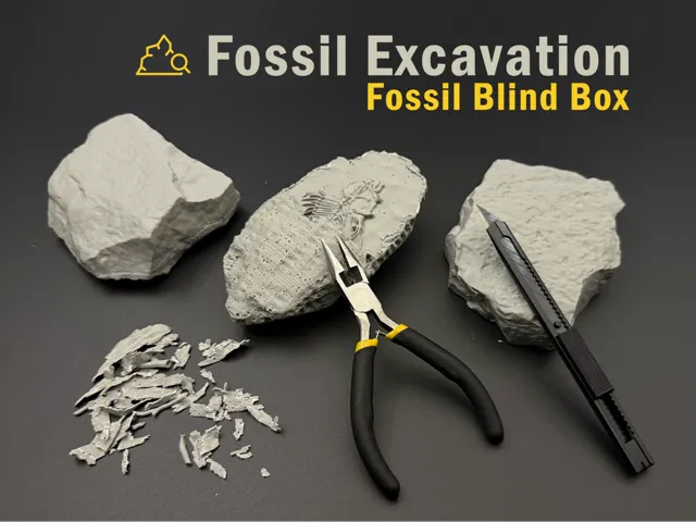 Fossil Excavation
