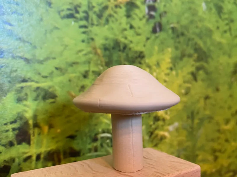 Deko Pilz
