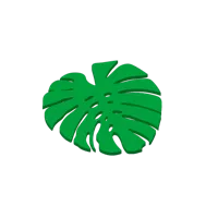 Dessous-de-verre et présentoir feuille de monstera — photo 2