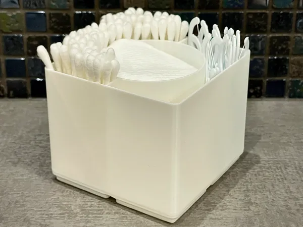 https://makerworld.bblmw.com/makerworld/model/US9818d839a0c34f/design/2026-01-01_523e91bbee59d8.jpg