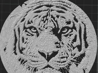 Tiger Coaster