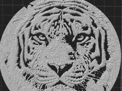 Tiger Coaster