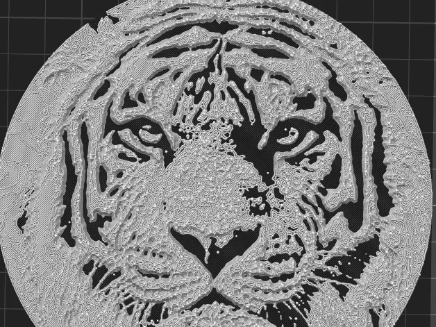 Tiger Coaster
