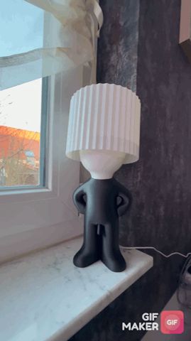 https://makerworld.bblmw.com/makerworld/model/US98216db0d29420/design/3f157198c2ba5367.gif