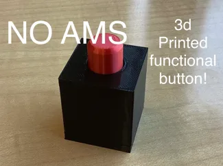 Functional Button (Black part)