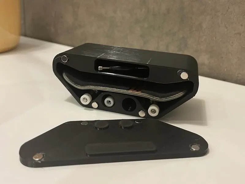 Fingerboard case