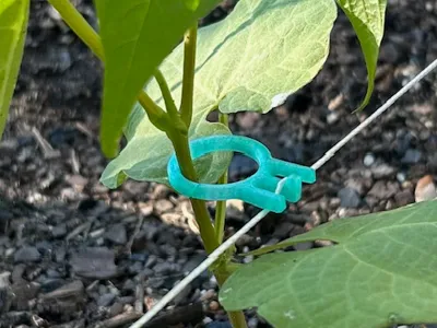 String Rings - Plant supports for gardens